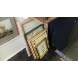 Five framed prints