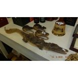 A life size baby Crocodile including three baby Crocodile heads