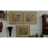 Three framed oriental bird scenes, watercolours on cloth,