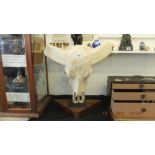 A repro resin water Buffalo skull on stand