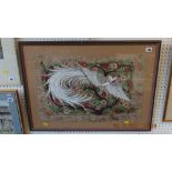 A framed watercolour, an exotic bird,