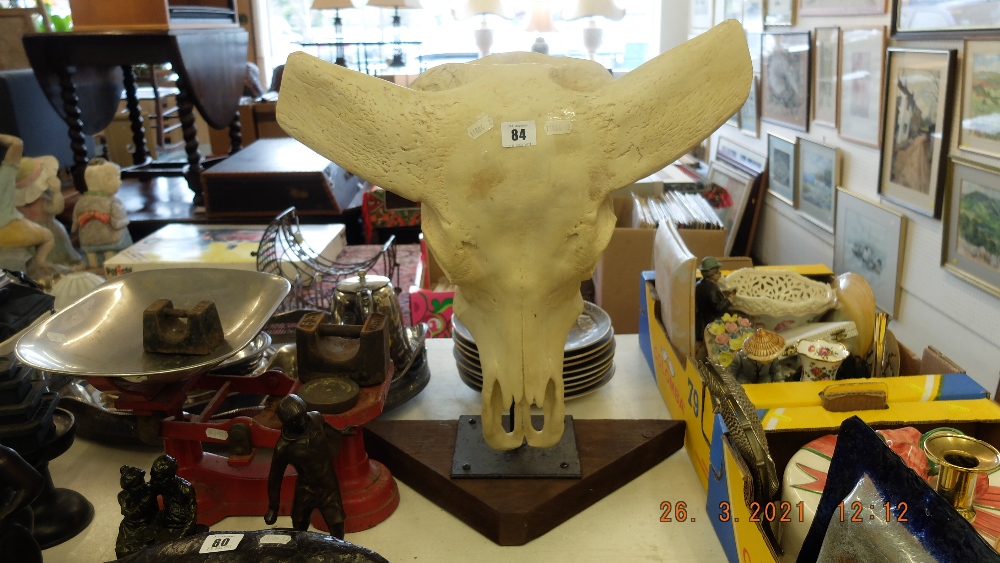 A repro resin water Buffalo skull on stand