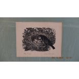 A wood engraving 'The nest' signed Joan Hassall