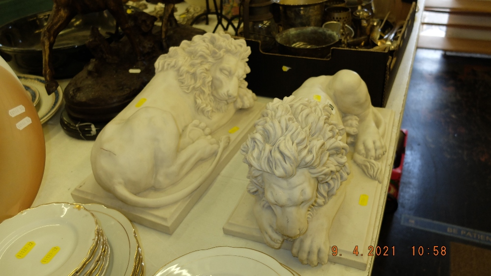 A pair of marbled laying Lions