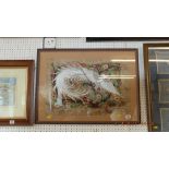 A framed watercolour, an exotic bird,