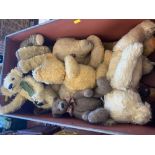 Nine vintage teddy bears