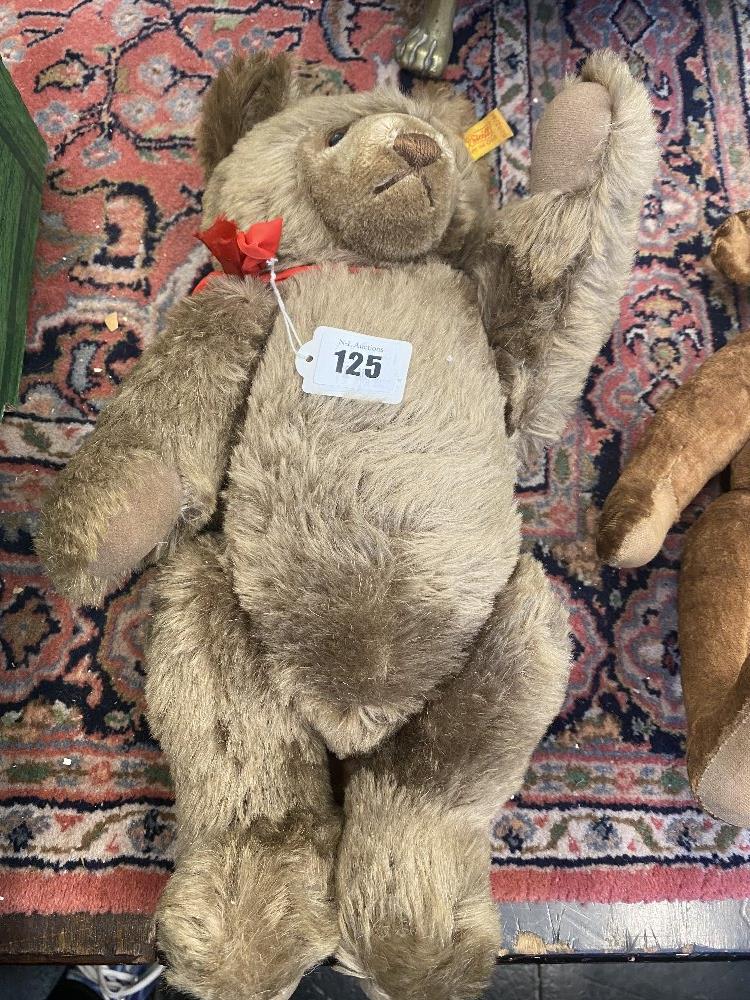 A Steiff teddy bear,