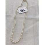 A Seed Pearl necklace,