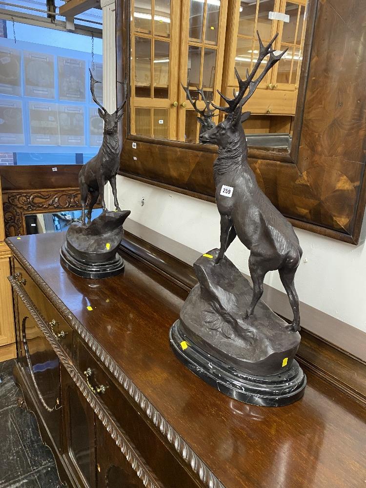 A pair of Bronze Stags on bases