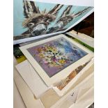 A qty of prints and a portfolio of pictures