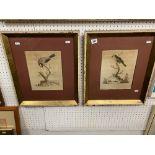 A pair of framed etchings,