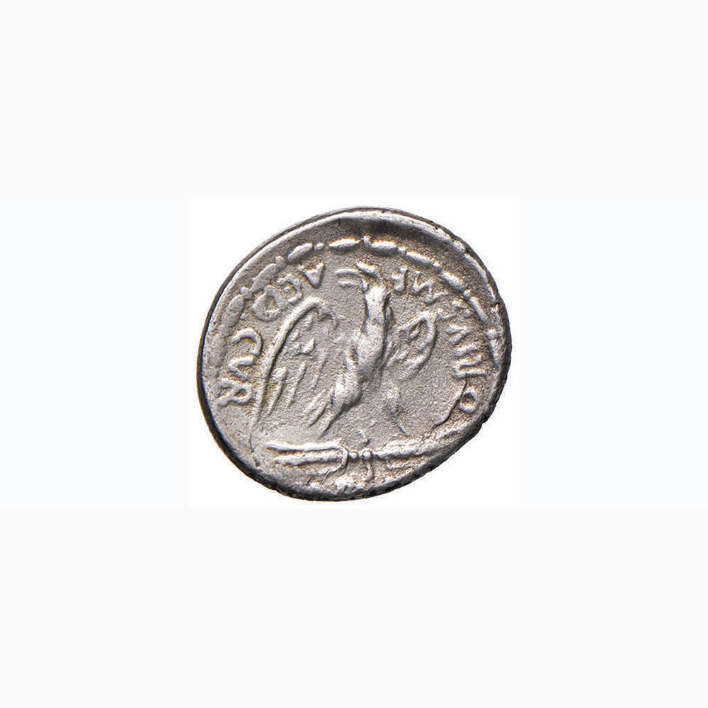 Plaetoria – M. Plaetorius M. f. Cestianus - Denario (67 a.C.) Busto della dea Vacuna a d. – R/ - Image 2 of 2