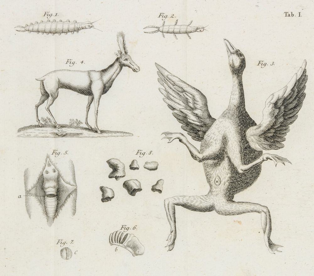 Allgemein - - Der Römisch Kaiserlichen Akademie der Naturforscher auserlesene Medicinisch- - Image 4 of 5