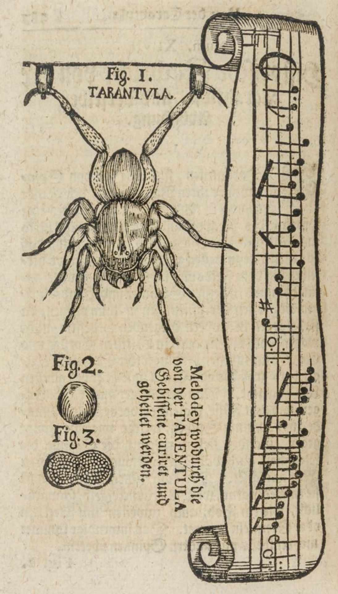 Allgemein - - Kern eines auserlesenen Vorraths curieuser und nützlich-gesammleter Wissenschafften - Image 2 of 3