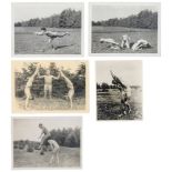 Riebicke, Gerhard. 5 Original-Photographien zum Thema "Freikörperkultur". Vintage. Silbergelatine