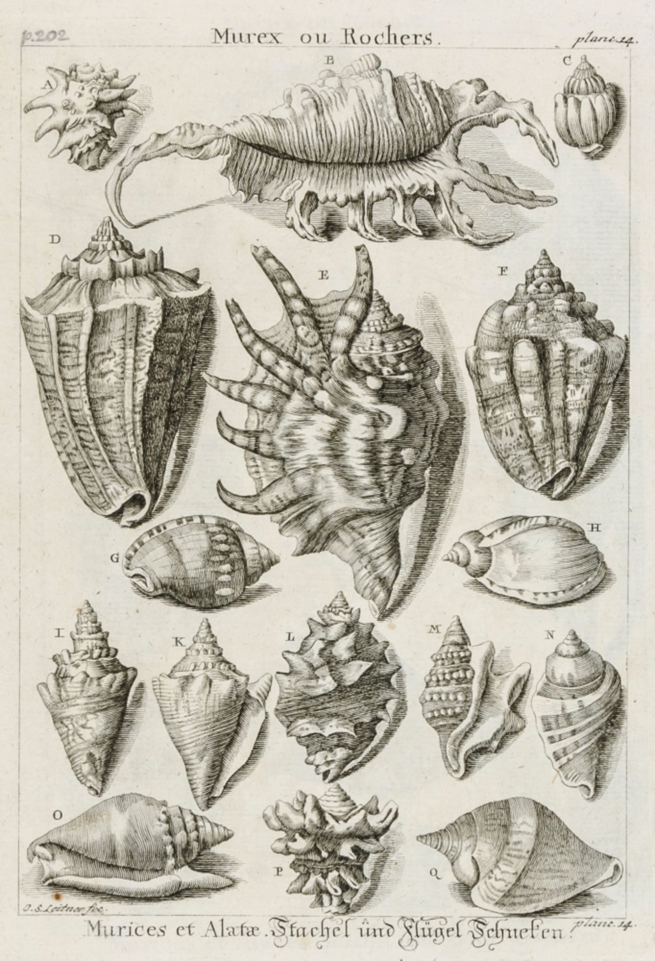 Biologie - Zoologie - - Dezallier d' - Bild 3 aus 3