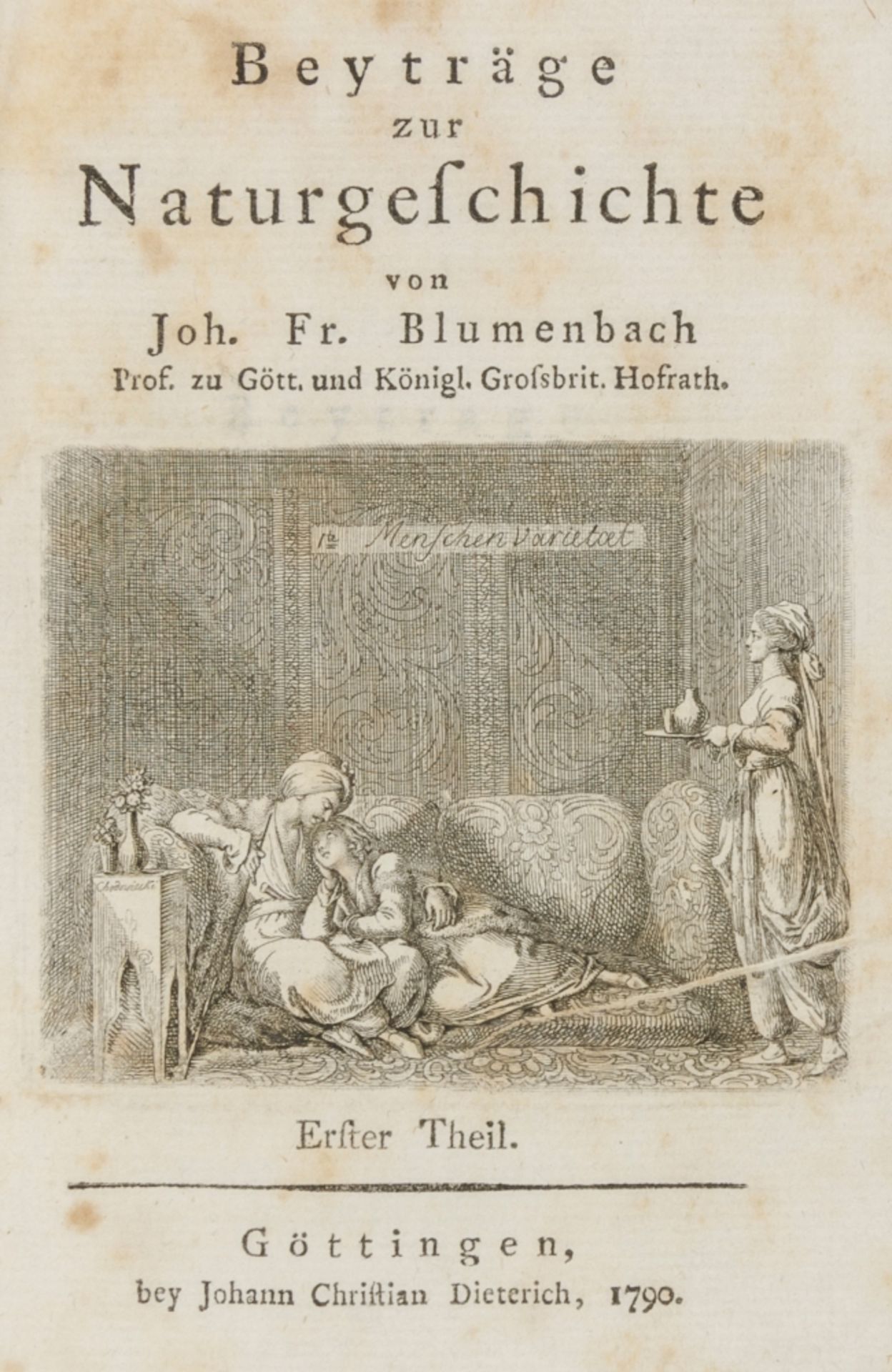 Allgemein - - Blumenbach, Johann