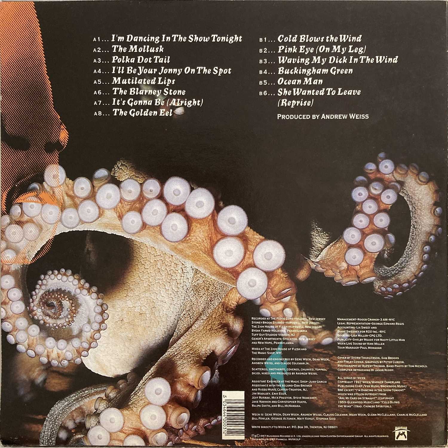WEEN - THE MOLLUSK LP (ORIGINAL UK PRESSING - MUSHROOM MUSH3LP) - Image 2 of 3