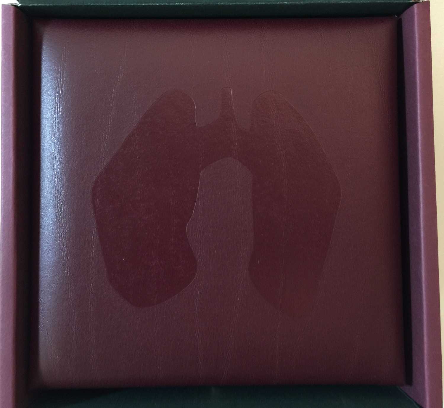 FLORENCE & THE MACHINE - LUNGS CD BOX-SET (LIMITED EDITION) - Image 3 of 7