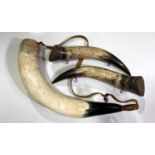 DRINKING HORNS.