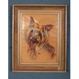 A framed oil on canvas of a Yorkshire Terrier. Signed BM 76. (Bill Makinson - Artist) - Height 38cm,