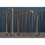 A collection of eleven wooden walking sticks - comprising of two sticks that have antlers as handles