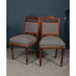A pair of Edwardian carved & stained Beechwood over stuffed dining chairs. H-93cm, W-45cm, D-43.5cm.