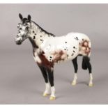 A Royal Doulton porcelain Appaloosa horse.