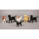 A collection of Beswick dog figures. Labrador, Beagle, Jack Russell Terrier examples etc