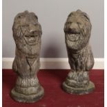 Two Large cast concrete Lion garden ornaments. (56 cm height)