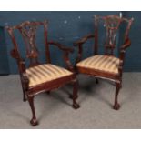 A pair of Mahogany Chippendale Style carver chairs. Comprising of upholstered striped seats. H: