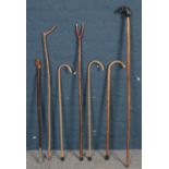 A bundle of walking sticks. Including curved handle, dog head examples, etc.