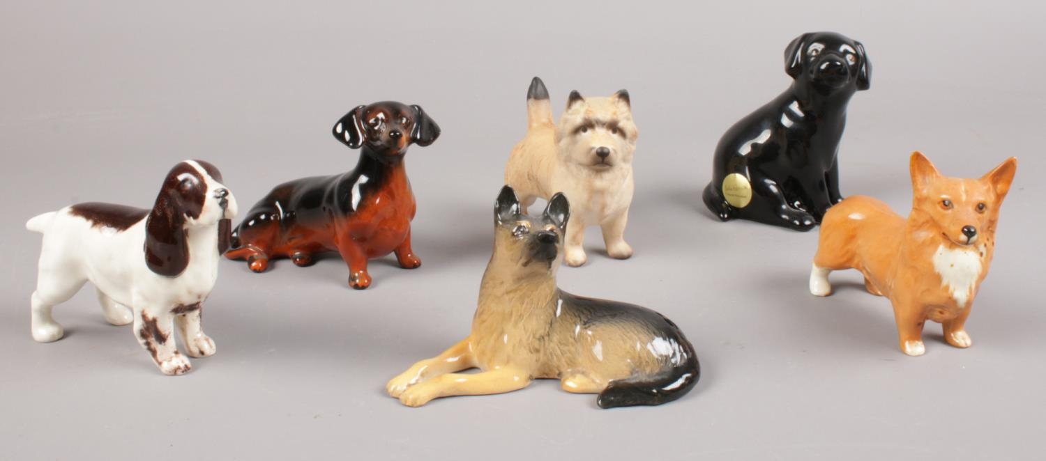 A group of Beswick dog figures. Black Labrador puppy, Dachshund, German Shepherd puppy, Brown