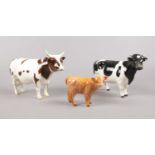 A group of three Beswick cattle. To include a Brown & White horned Cow marked CH Whitehill