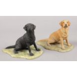 Two Border Fine Art models of Labradors by Ray Ayres. Good condition.