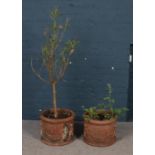 A pair of terracotta garden planters. With cherub decoration. (height 31cm, diameter 41cm). One with