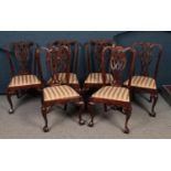 A set of six Mahogany Chippendale Style dining chairs. Comprising of upholstered striped seats. H: