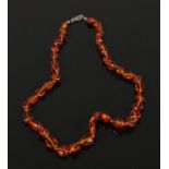 A polished cognac amber graduated necklace with silver clasp 49cm long Good condition