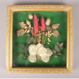 A small gilt framed display box of dried flowers. (24.5cm x 24cm)