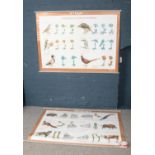 Four 1980's Russian scrolling educational hanging charts. Each chart depicting animals / insects and