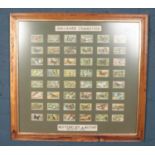 A framed picture of various Gallagher Cigarette cards (48 from 1938). H:56, W:60cm,