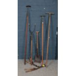 A collection of garden tools.