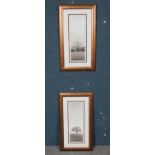 A pair of Alan Blaustein framed photographs depicting sepia landscapes. H:52cm, W:17cm.