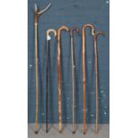 Six Walking Canes, Two with Horn & Antler Top.