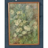 A Watercolour of Primroses by Helen Druce (1887). Signed by the Artist. Size of Painting: Height