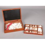 A small Victorian Mahogany box with two tiers of sea shells and coral. H: 6.5cm,W: 26cm, D: 18.5cm.