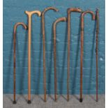 A series of seven walking sticks, the majority with curved handles.