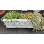 A white resin ROMANESQUE style rectangular planter 2ft long x 7” wide with planting ‘Snow in