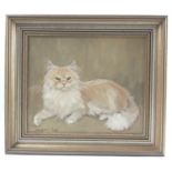 PUSS PUSS! BORDER LOCAL INTEREST ARTIST MARGARET PEACH Persian cat original oil on canvas