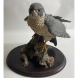 TOP QUALITY! BROOKS BENTLEY very large ‘ Peregrine Falcon' ornament 30cm high x 20cm width approx